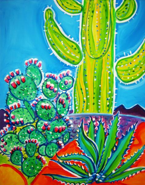 Cave Creek Cactus Garden