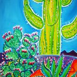 Cave Creek Cactus Garden
