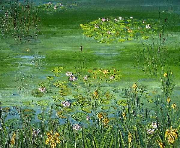 Dave's pond