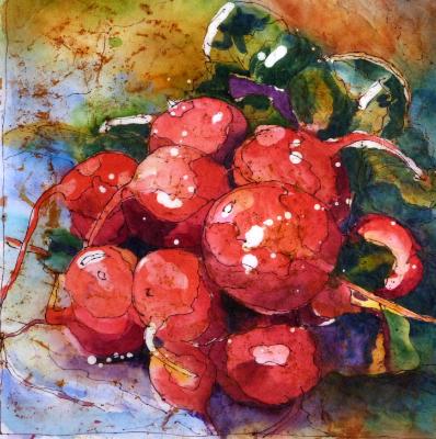 Radishes 8" x 8"