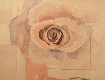 Pale Rose (watercolor)