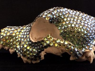 Fox Skull Left - Sold Fox Skull Left - Sold