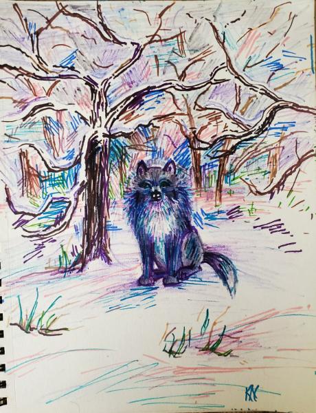 The Snowy Wilderness 