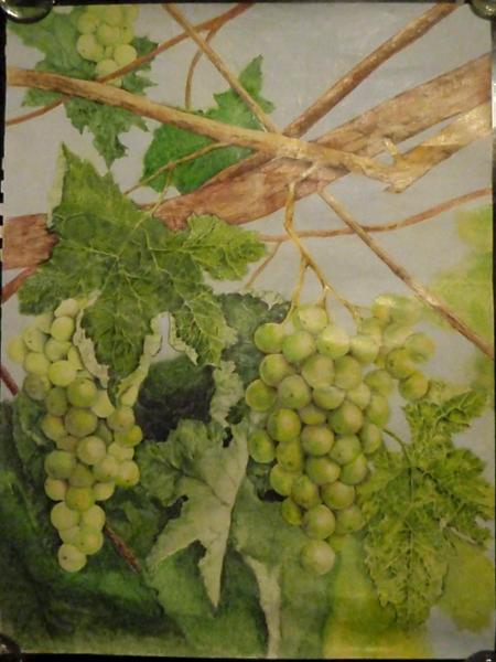 green grapes    SOLD