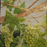 green grapes    SOLD