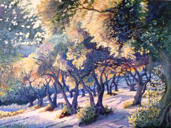 Aeolia Olive Orchard 24x36 SOLD