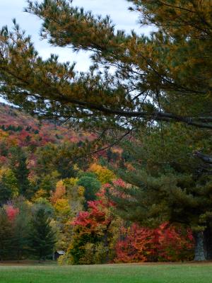 autumn colors