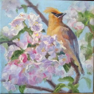 Spring Flowers: Apple Blossoms with Cedar Waxwing
