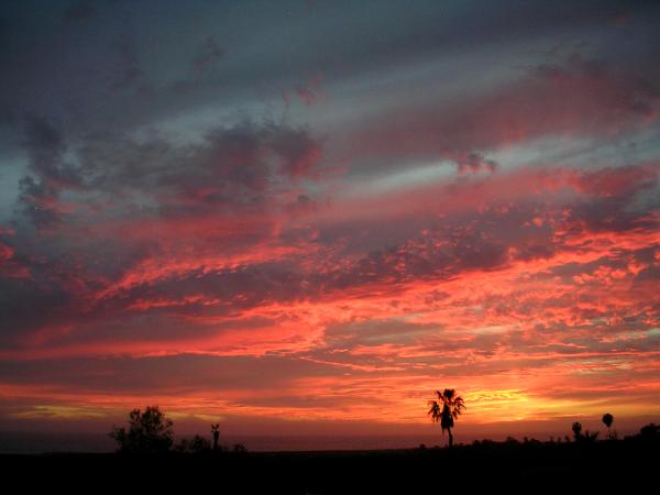 Todos Santos Sunset