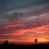 Todos Santos Sunset