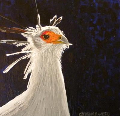 Secretary Bird Secretary Bird
