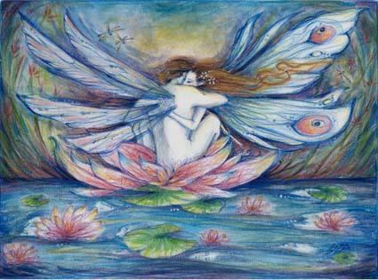 The Lillypond Fairy art print fairy lovers picture from an original painting