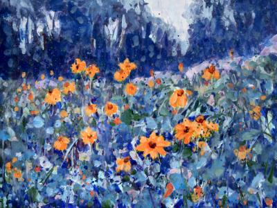 The Vivid Beauty