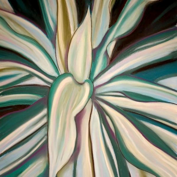 "Variegated False Agave"  14" x 18" pastel on paper