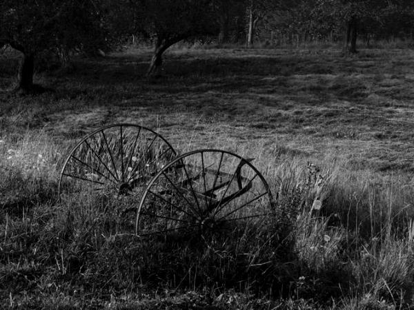 Vermont Farm by Dana Levine