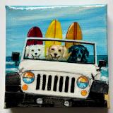 THREE LABS IN A JEEP