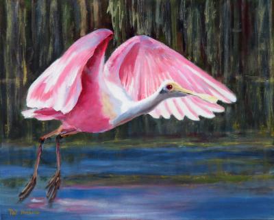 Roseate Spoonbill 