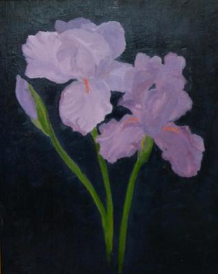 Purple Irises 20"x16" (private collection) Purple Irises 20"x16" (private collection)