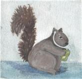 squirrel w ipod shuffle