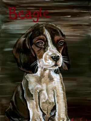 Beagle Beagle