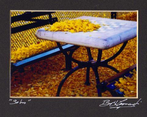 SoHo "Park Chess Table in Fall"