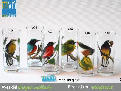 Set of handpainted glasses: BIRDS OF THE RAINFOREST