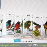 Set of handpainted glasses: BIRDS OF THE RAINFOREST