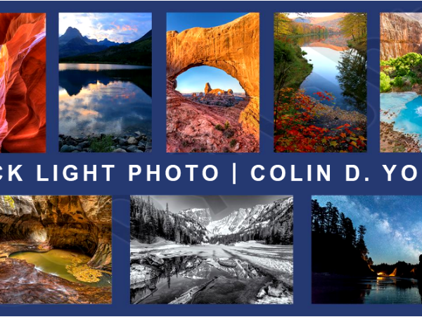Nature Photography by Colin D. Young
