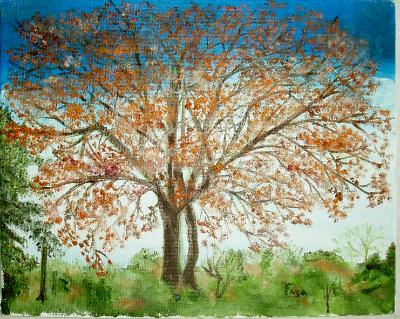 fall tree fall tree