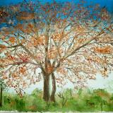 fall tree