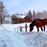 Snow with Thunder New England