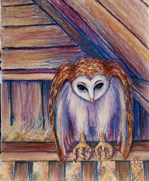 Barn Owl in Loft