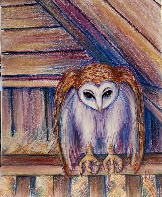 Barn Owl in Loft