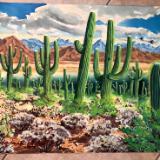 Arizona Desert with Saguaros and Mountains