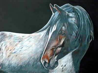 Mustang Roan Mustang Roan