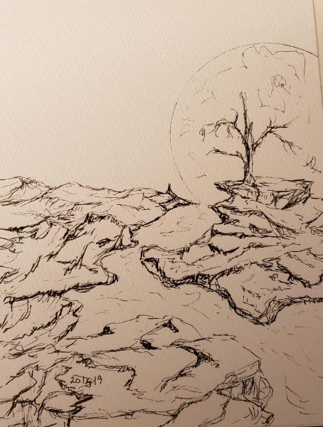 The long way home 