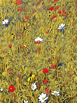 Wildflowers Wildflowers