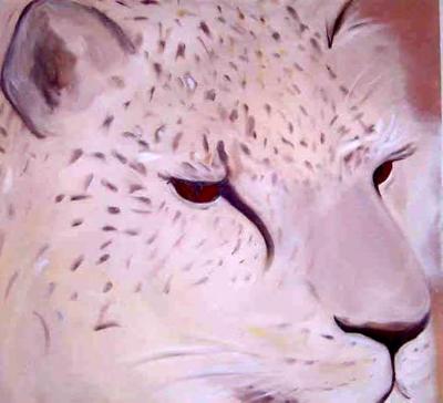 Vanishing Cheetah