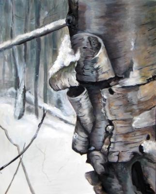 Winter Birch Winter Birch