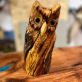 Small Horned Owl