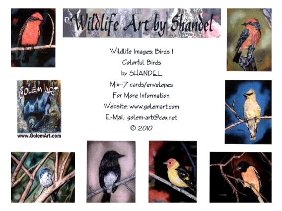Note Cards: Birds I--Colorful Birds