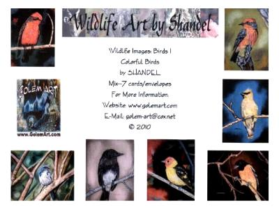 Note Cards: Birds I--Colorful Birds