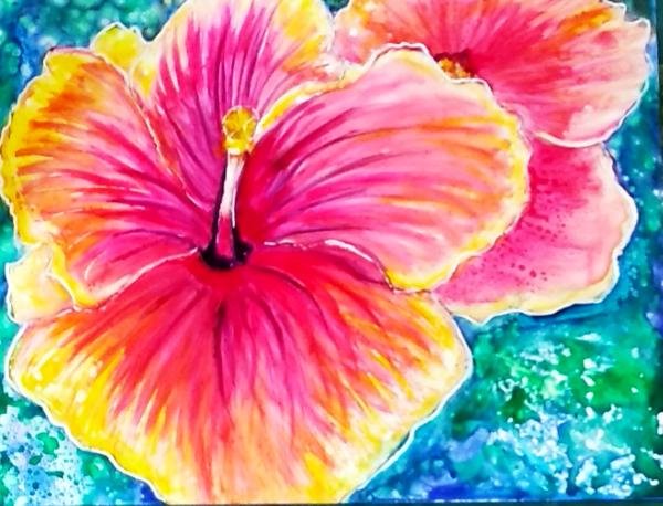 Vibrant Hibiscus