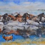 Horses of the Aral sea, 35cm x 50cm, 2014