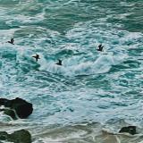 Flight of the Pelicans, Cabo San Lucas, Mexico