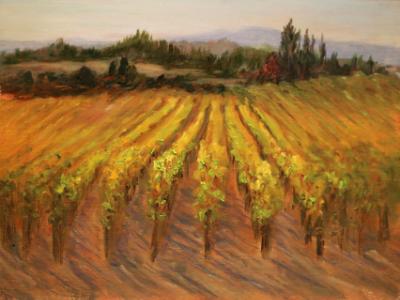 Sonoma Vineyard II Sonoma Vineyard II