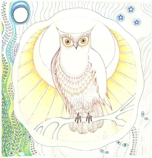 Owl Moon sketch