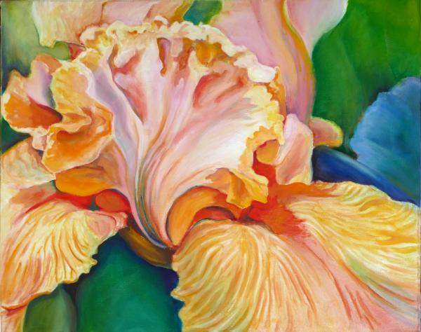 Iris 2