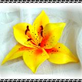 Tiger Lily Yellow