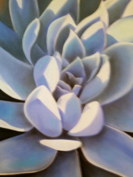 "Blue Agave"